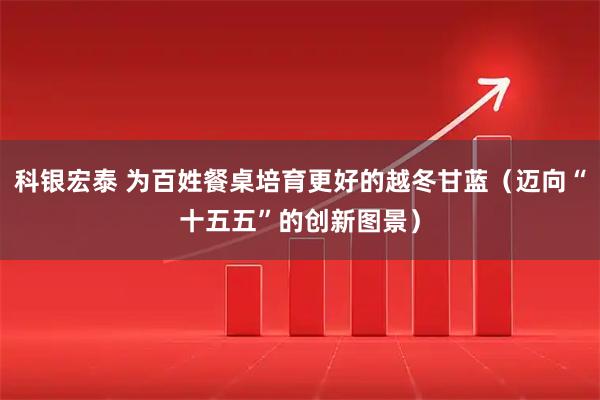 科银宏泰 为百姓餐桌培育更好的越冬甘蓝（迈向“十五五”的创新图景）