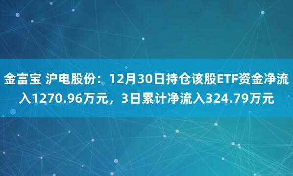 金富宝 沪电股份:12月30日持仓该股ETF资金净流入1270.96万元,3日累计净流入324.79万元