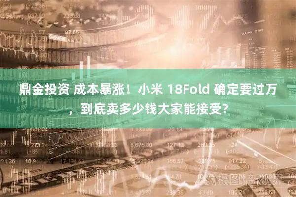 鼎金投资 成本暴涨!小米 18Fold 确定要过万,到底卖多少钱大家能接受?